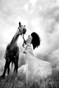 BEAUTY AND THE HORSE