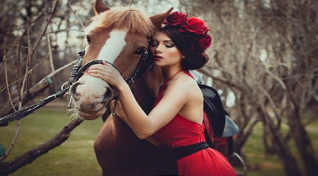 BEAUTY AND THE HORSE