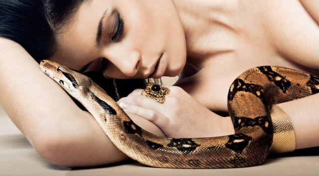 SNAKE TEMPTATION